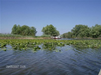 Fotografii Delta Dunarii, foto Delta Dunarii, pictures Danube Delta